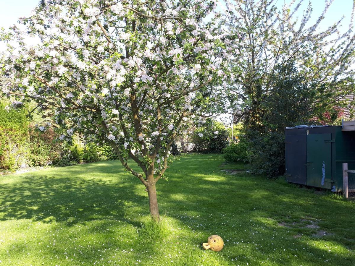 Ferienwohnung In Ruhiger Dorflage Naehe Bad Bevensen Natendorf ภายนอก รูปภาพ